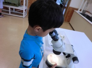 CIMG4382 (2)